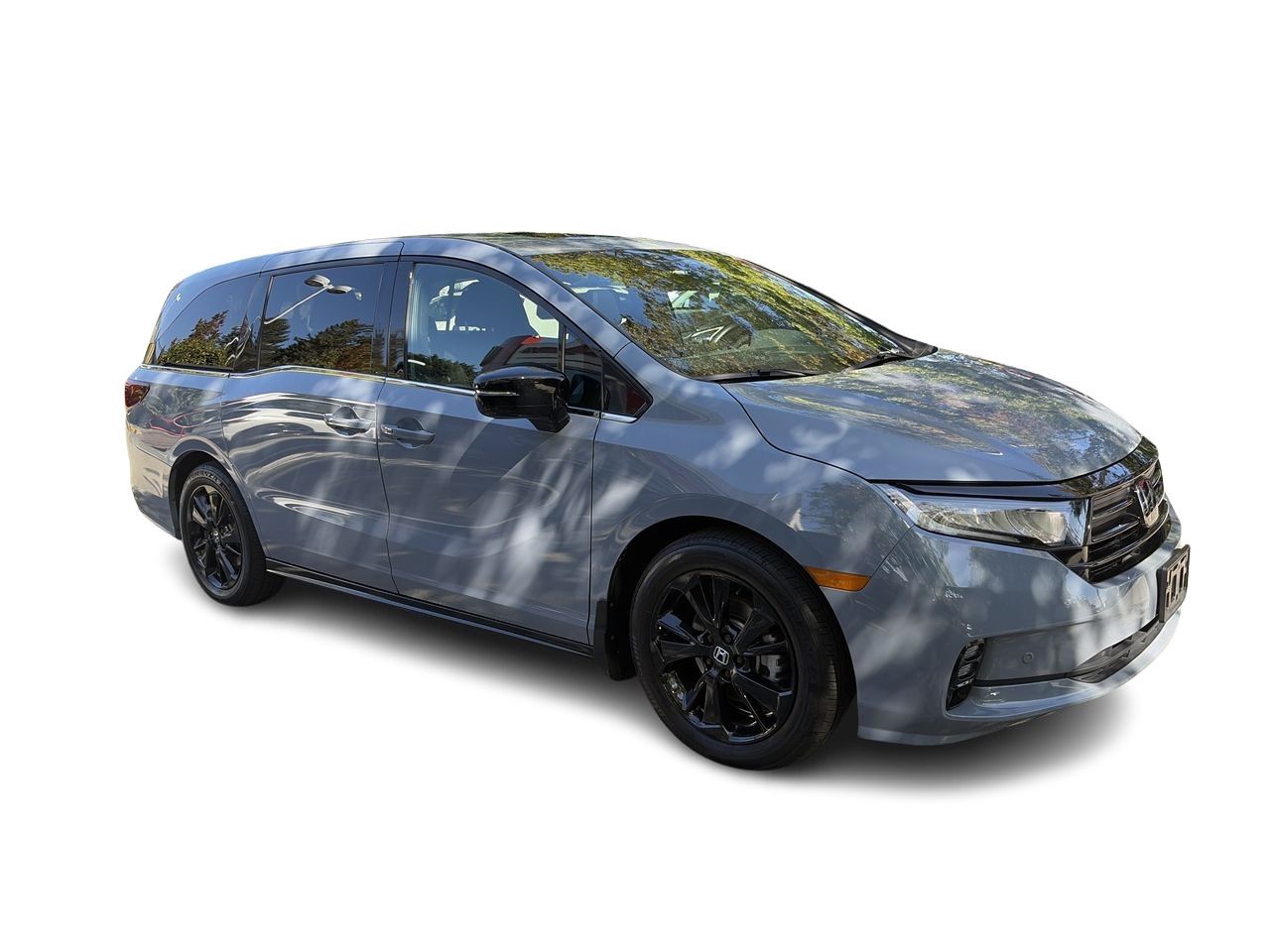 2024  Odyssey