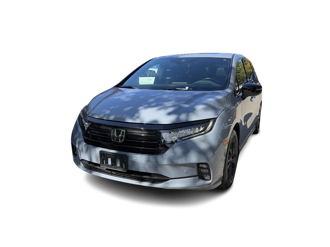 2024  Odyssey