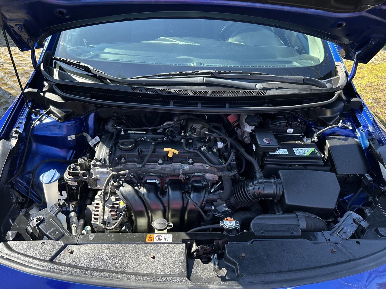 2017  Forte