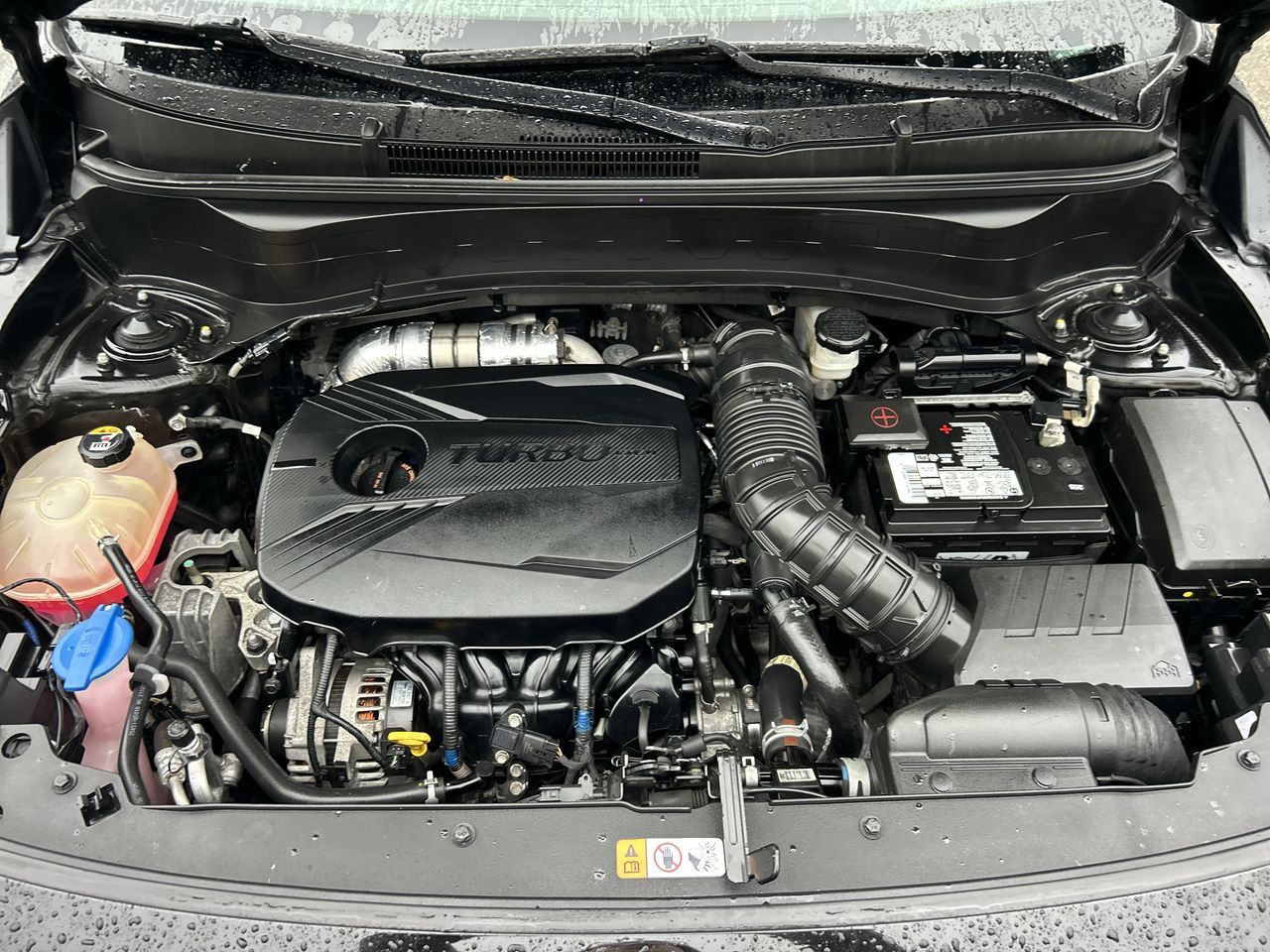 2022 Kia Seltos in Vancouver, British Columbia