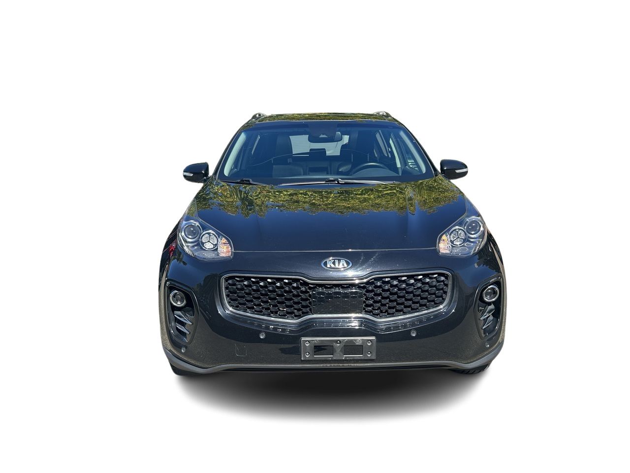 2019 Kia Sportage in Vancouver, British Columbia