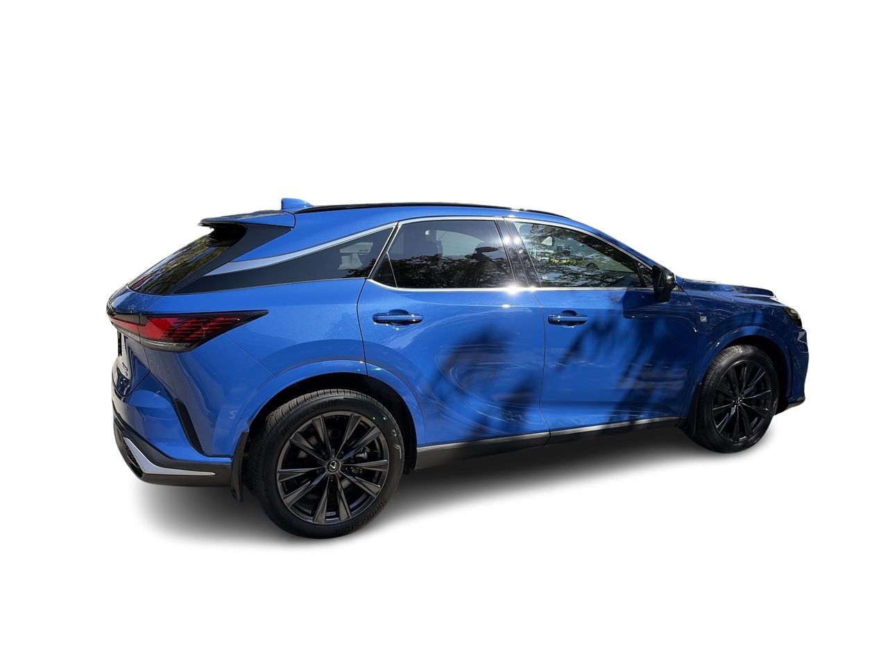 2024  RX