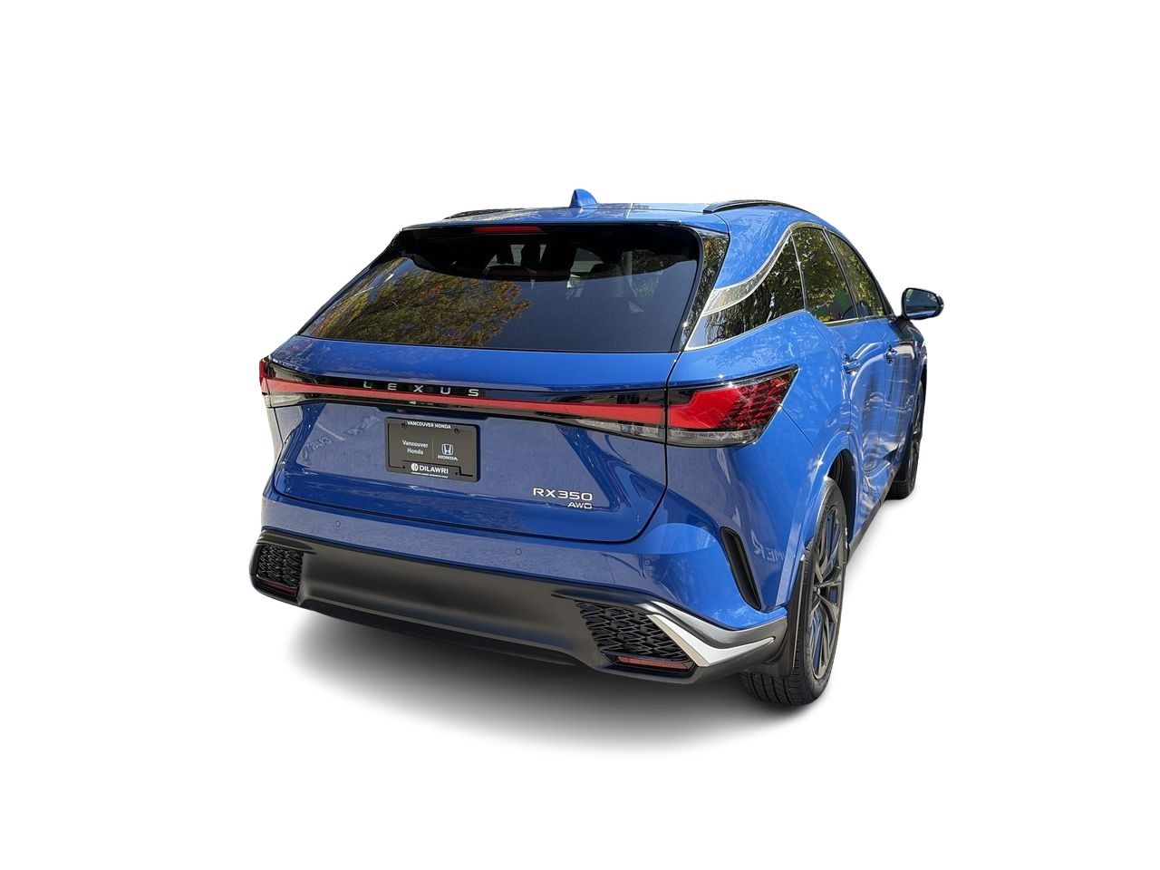 2024  RX