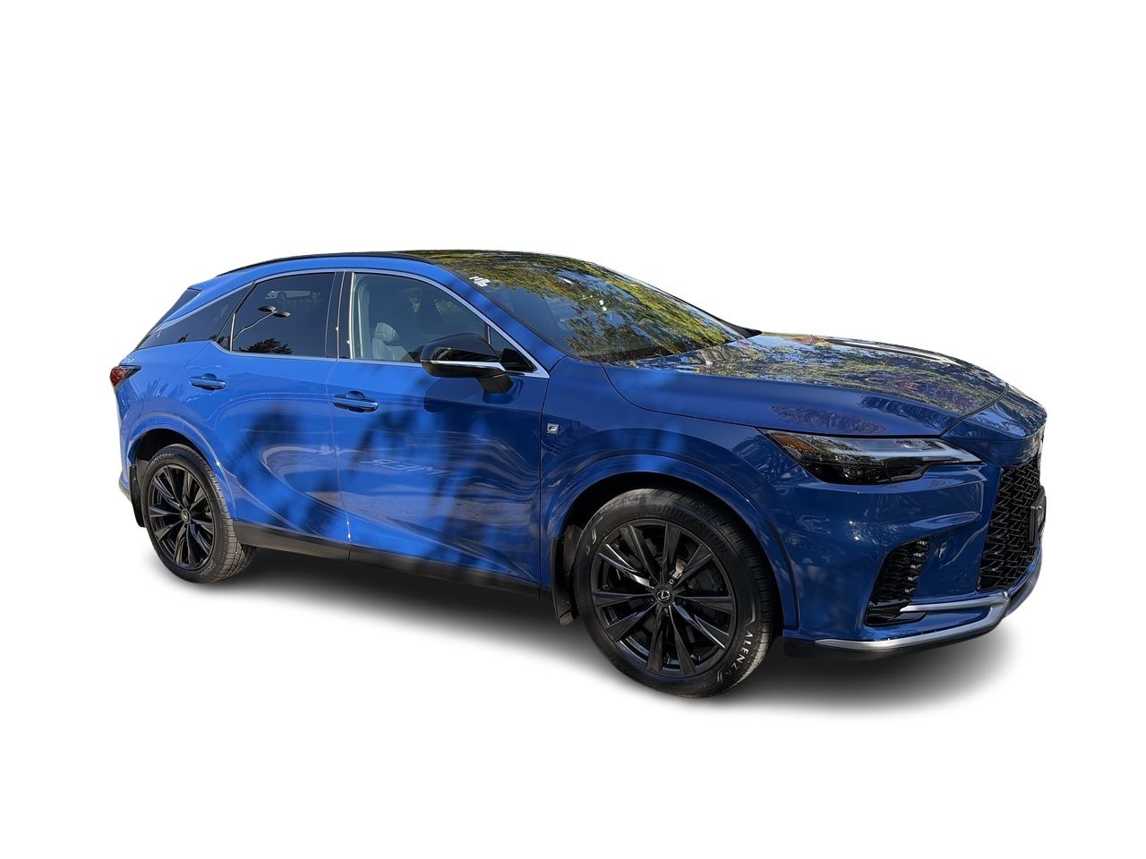 2024  RX