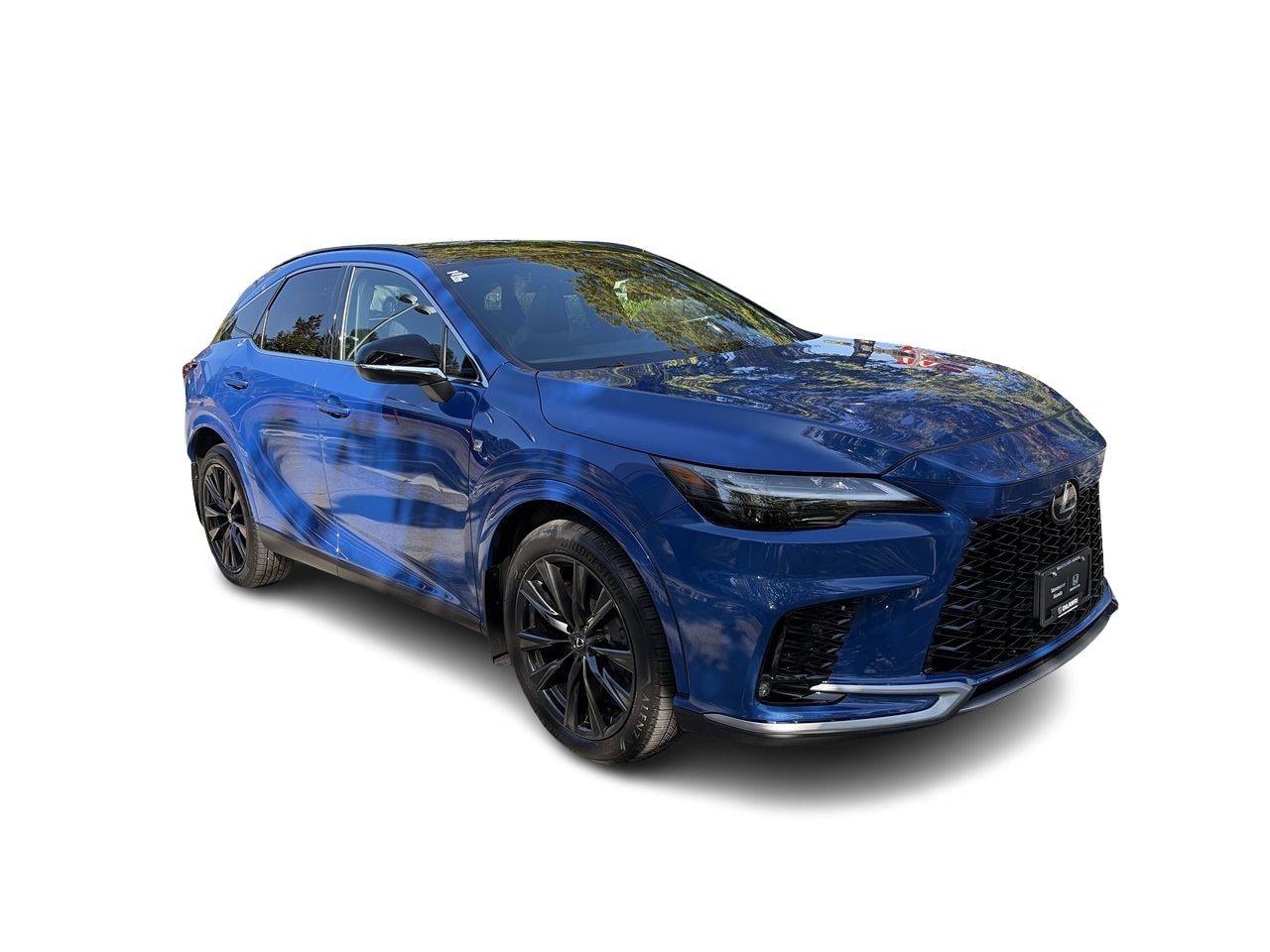 2024  RX