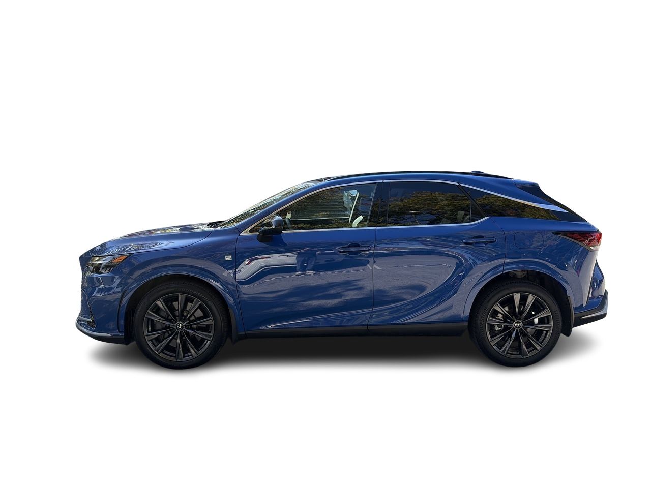 2024  RX