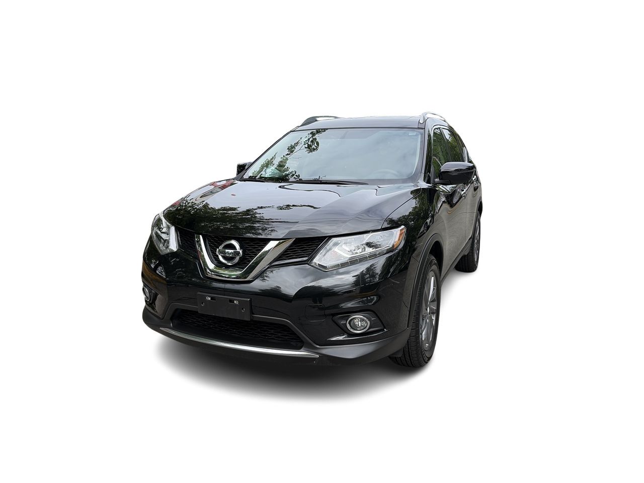 2016  Rogue