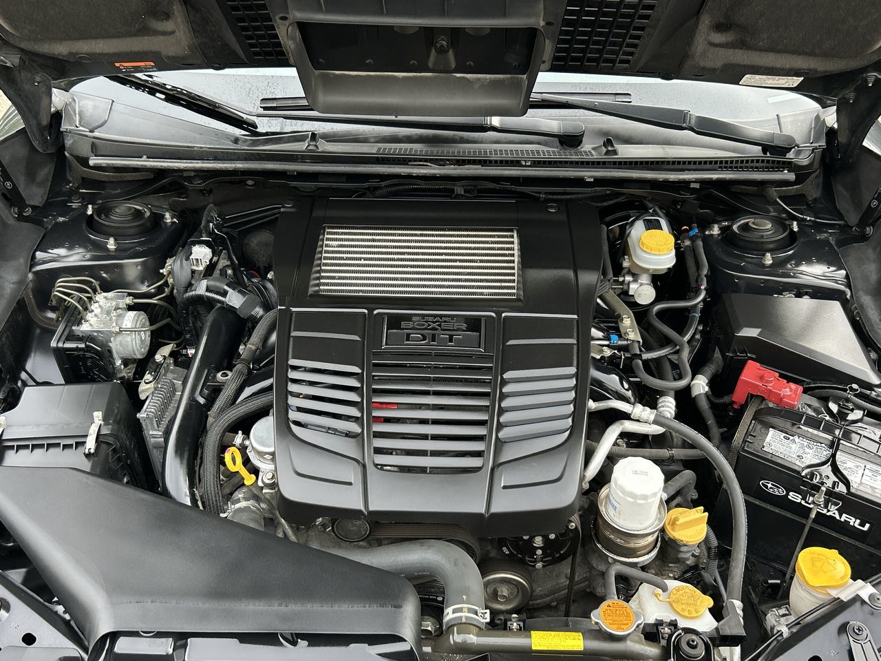 2017 Subaru WRX in Vancouver, British Columbia