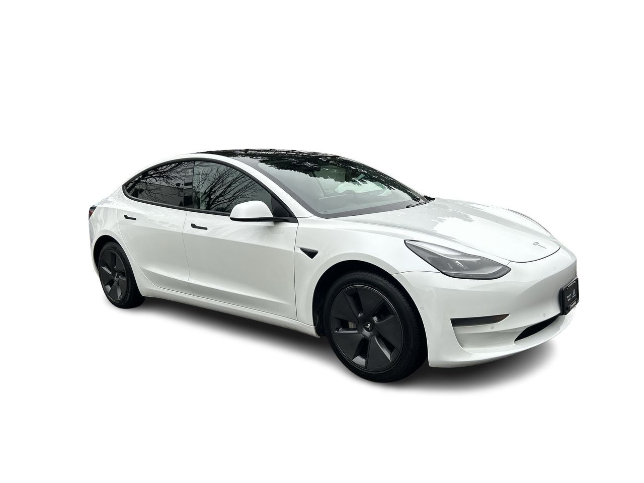 2021  Model 3
