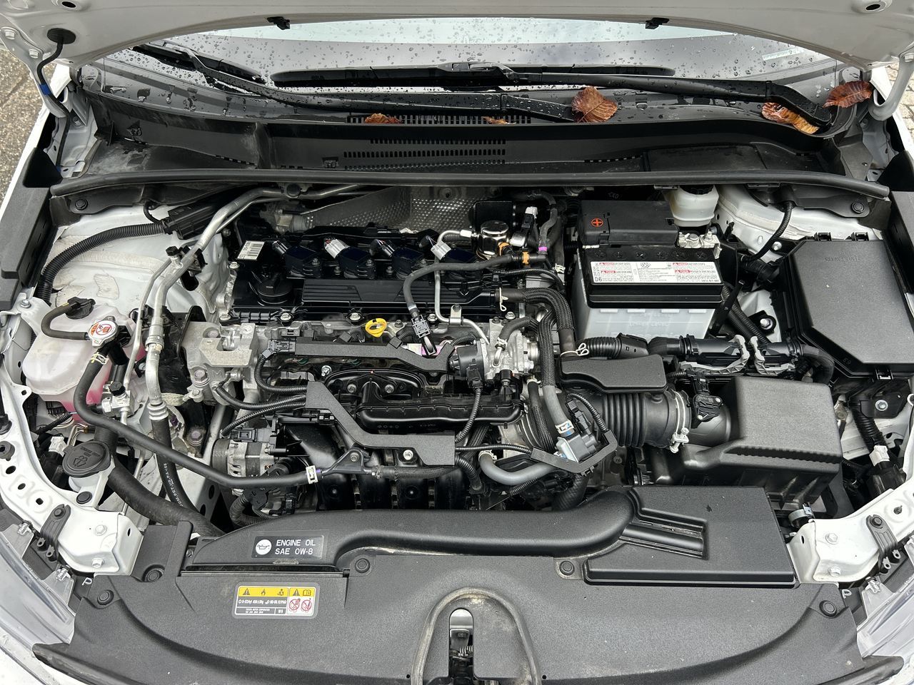 2024 Toyota Corolla Hatchback in Vancouver, British Columbia