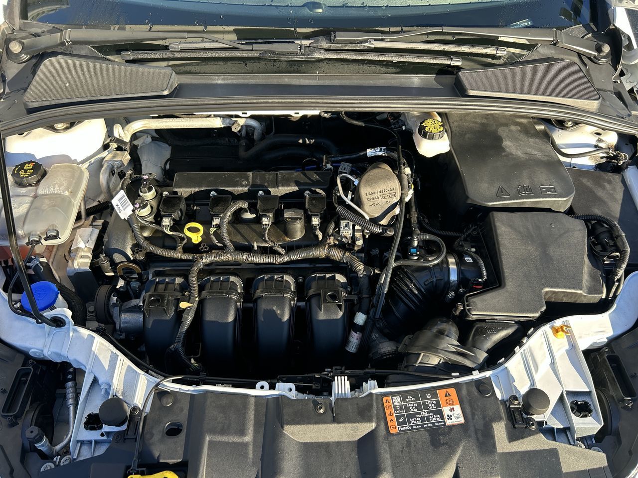 2017 Ford Focus in Vancouver, British Columbia