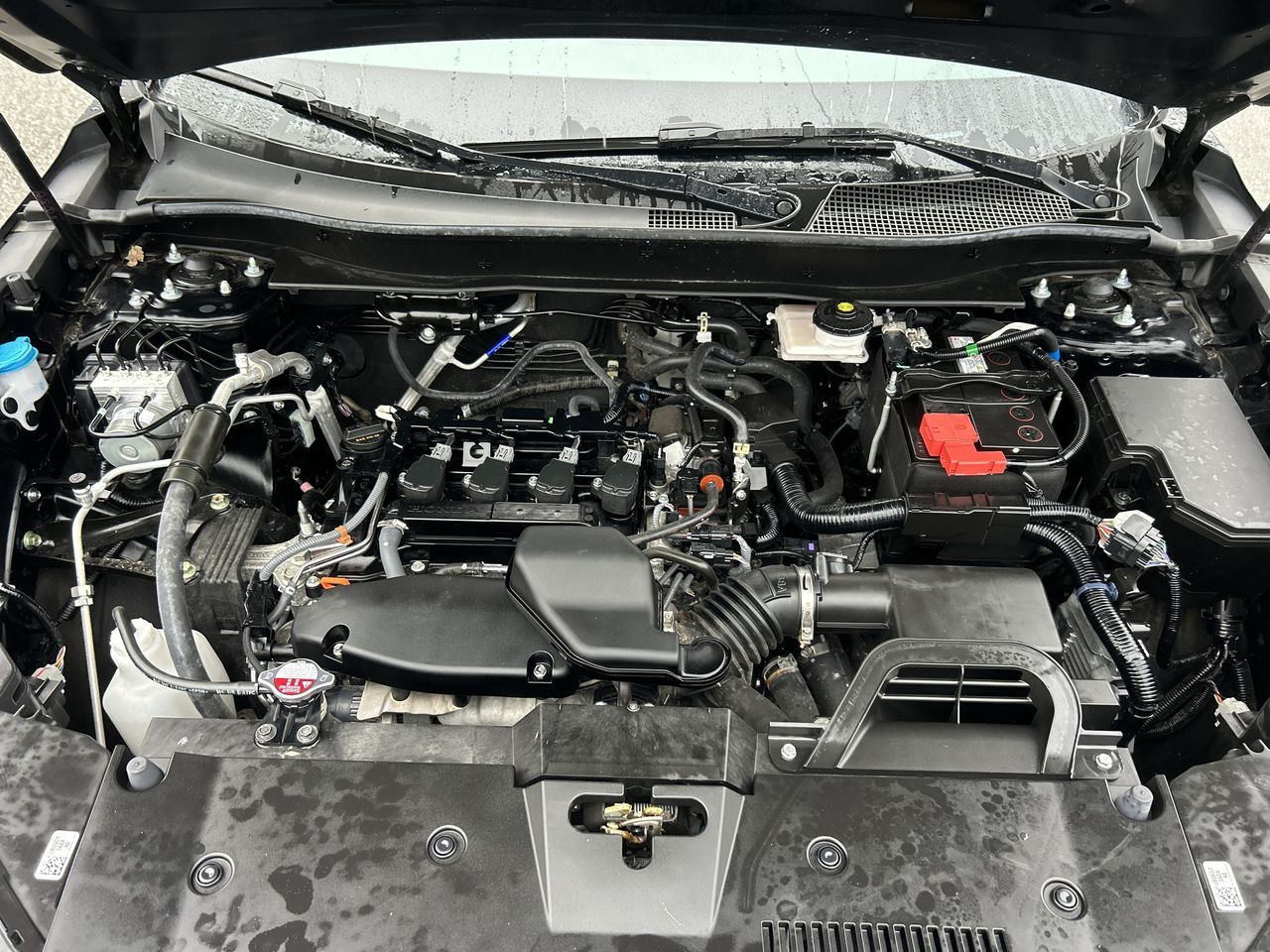 Honda CR-V  2024 à Vancouver, Colombie-Britannique