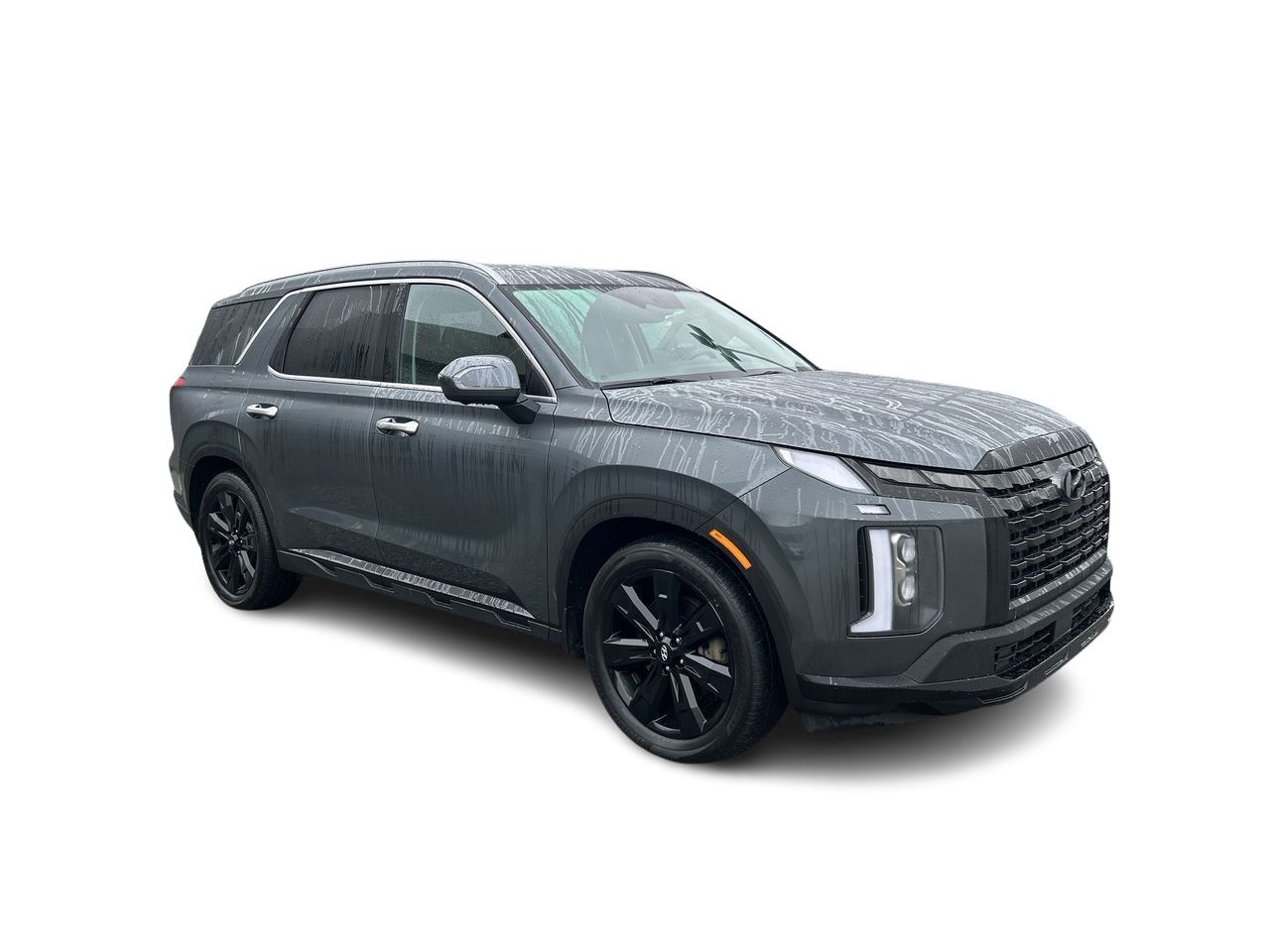 2023 Hyundai Palisade in Vancouver, British Columbia