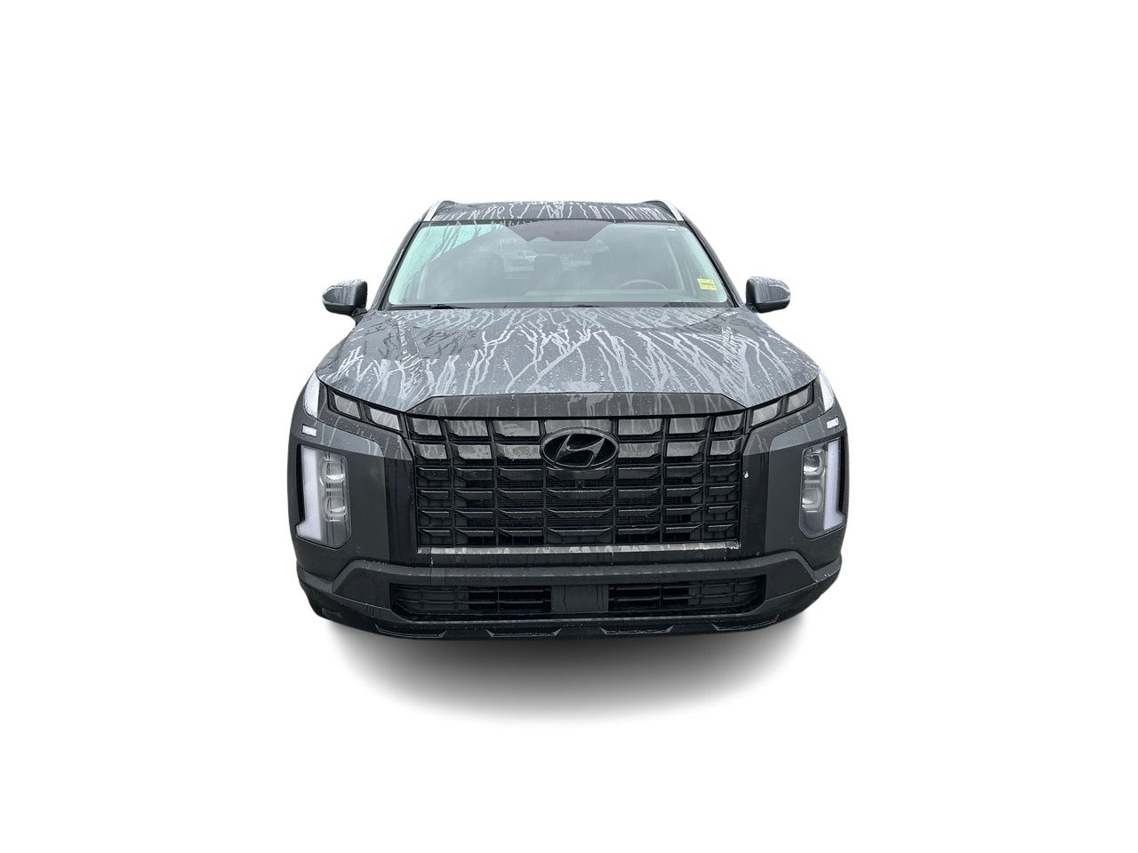 2023 Hyundai Palisade in Vancouver, British Columbia