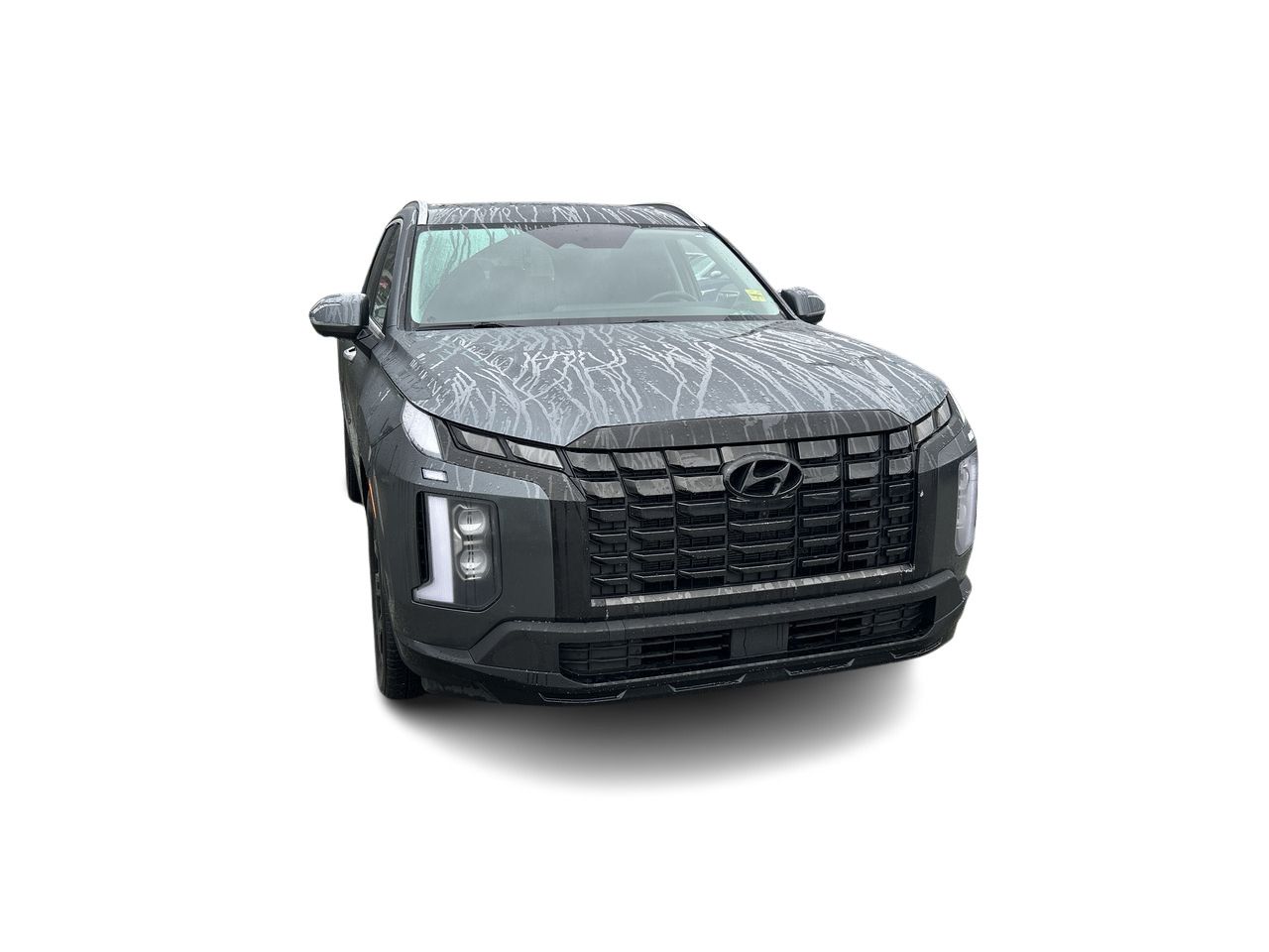 2023 Hyundai Palisade in Vancouver, British Columbia