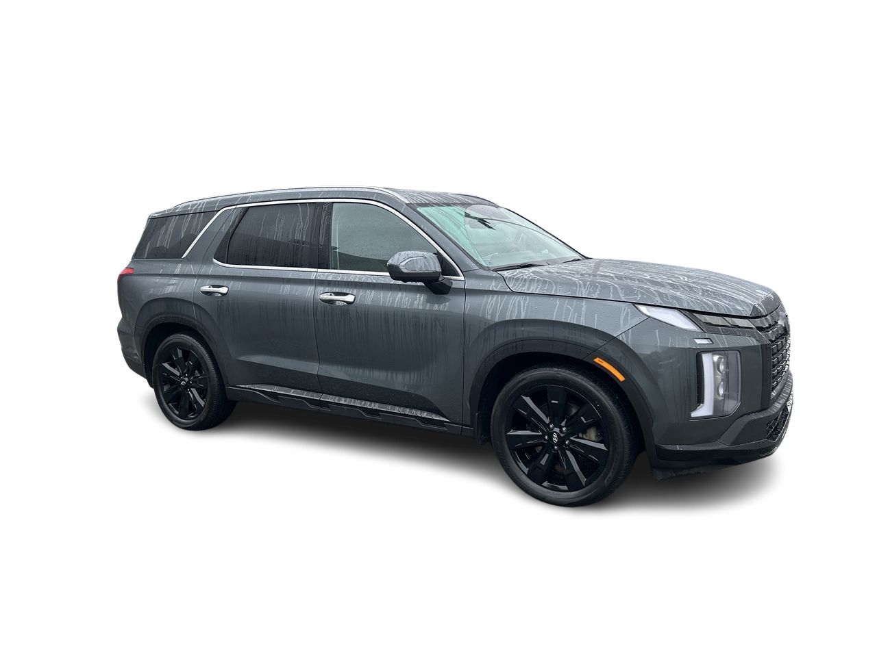 2023 Hyundai Palisade in Vancouver, British Columbia