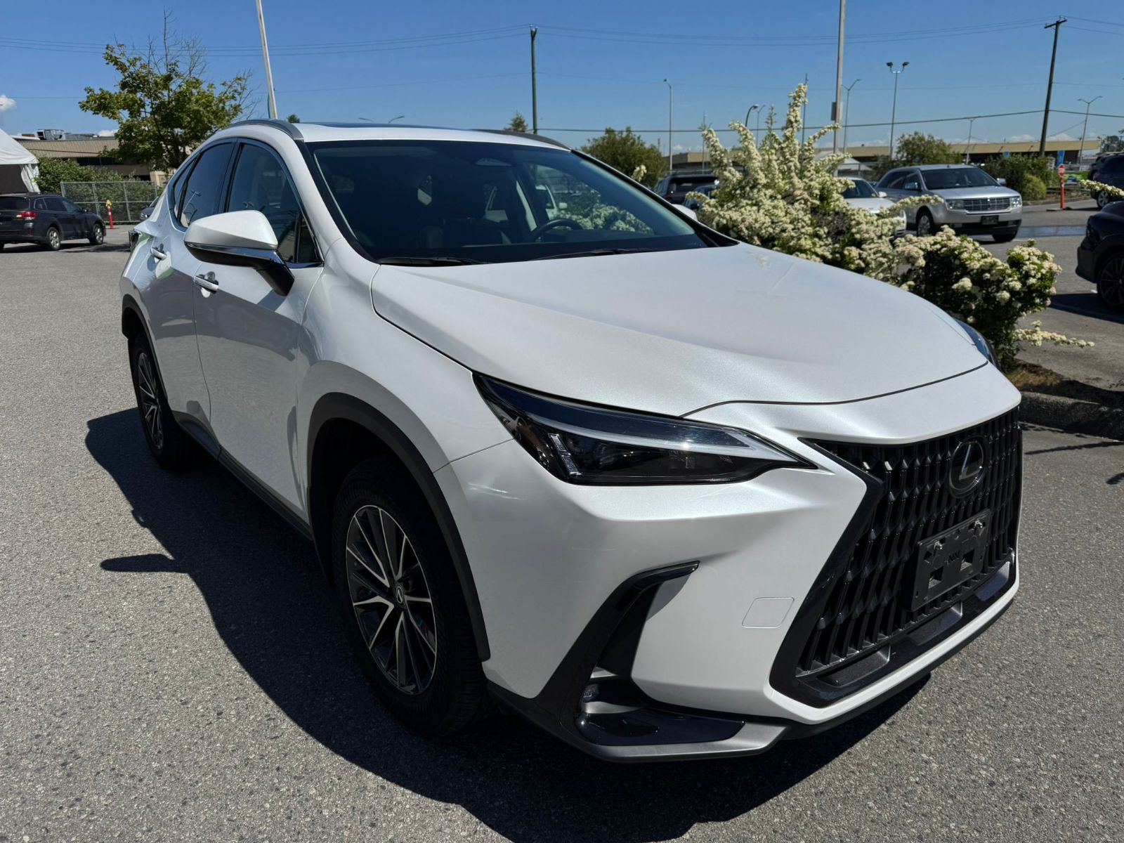 2022 Lexus NXh