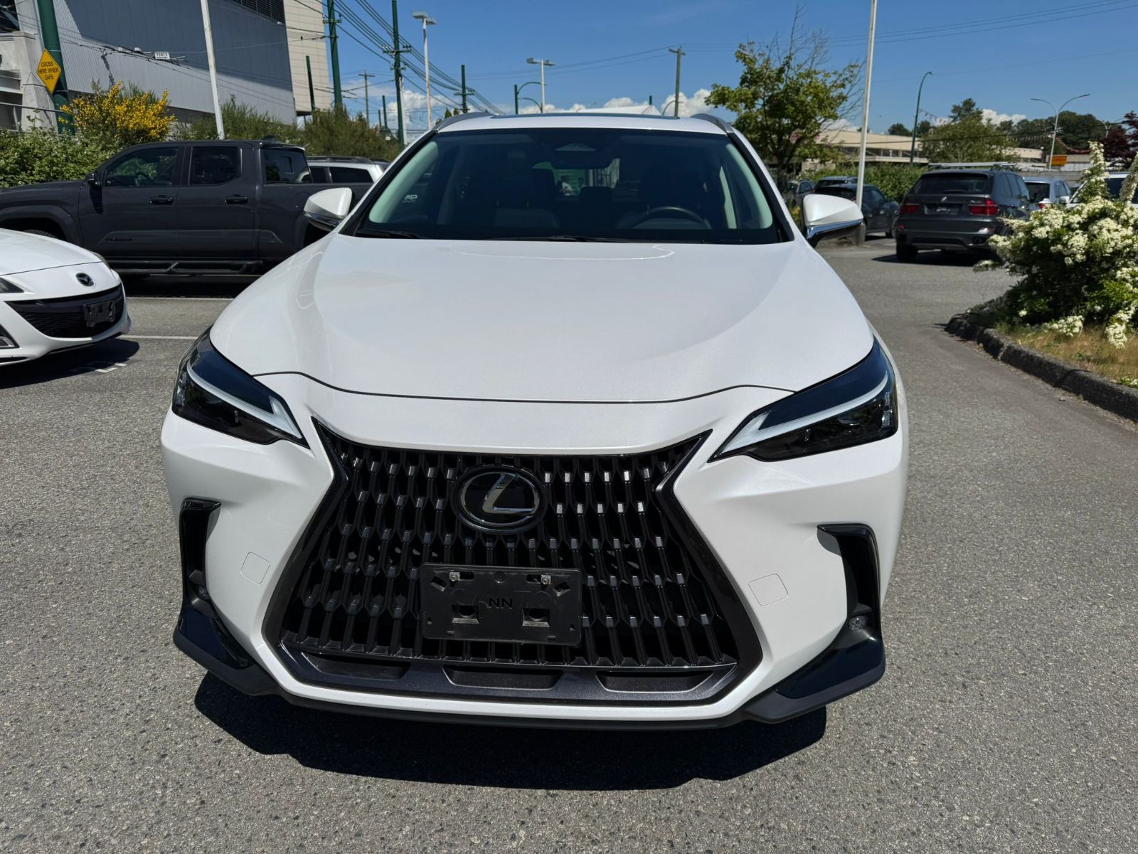 2022 Lexus NXh
