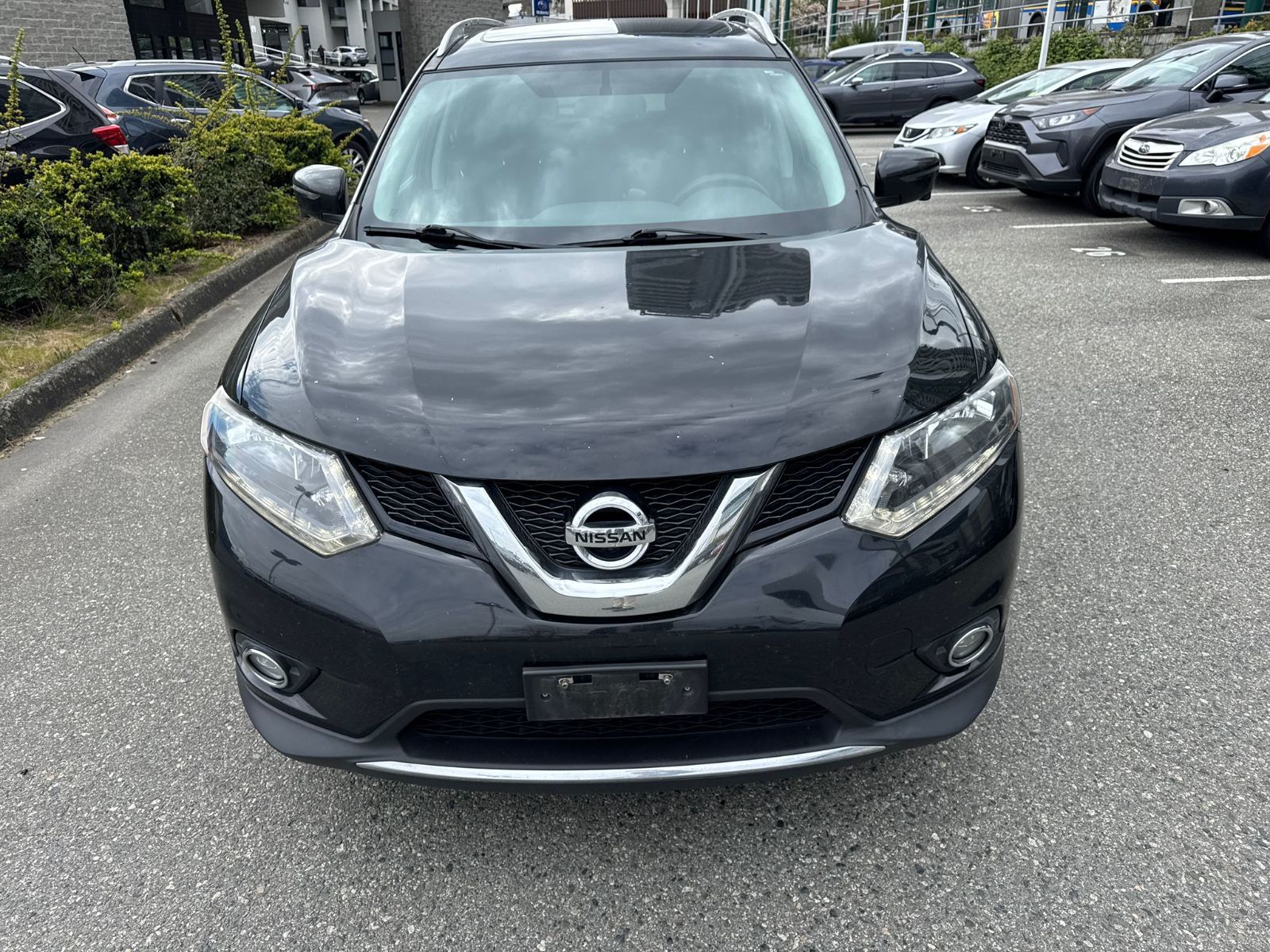 2016  Rogue