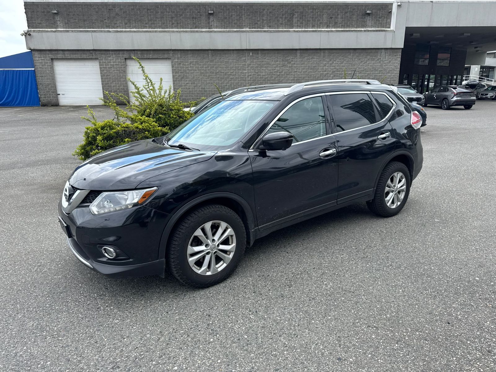 2016  Rogue