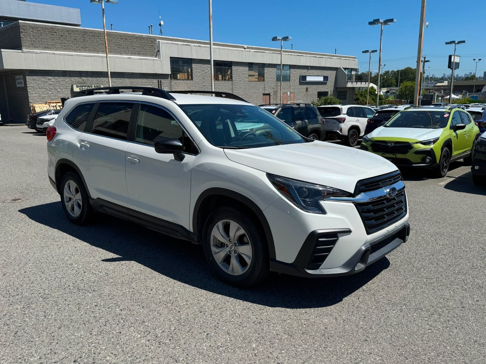 2023  Ascent