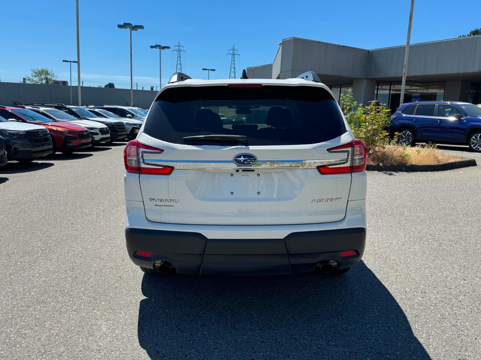 2023  Ascent