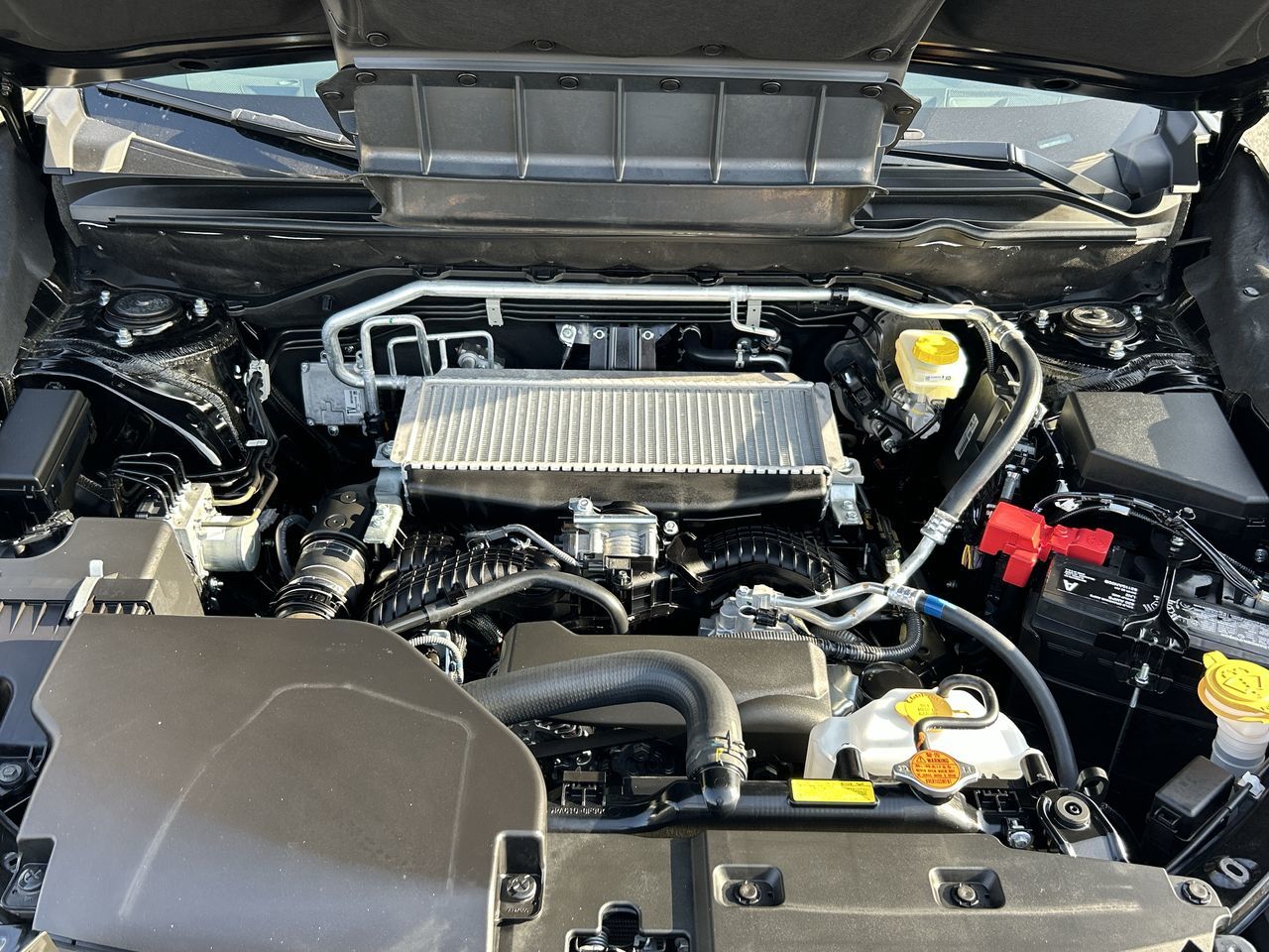 2024 Subaru ASCENT in Vancouver, British Columbia