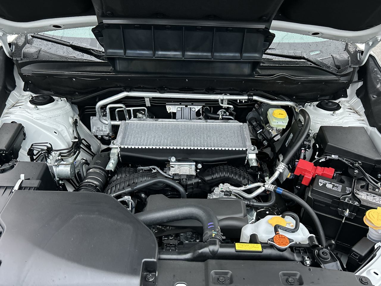 2025 Subaru ASCENT in Vancouver, British Columbia