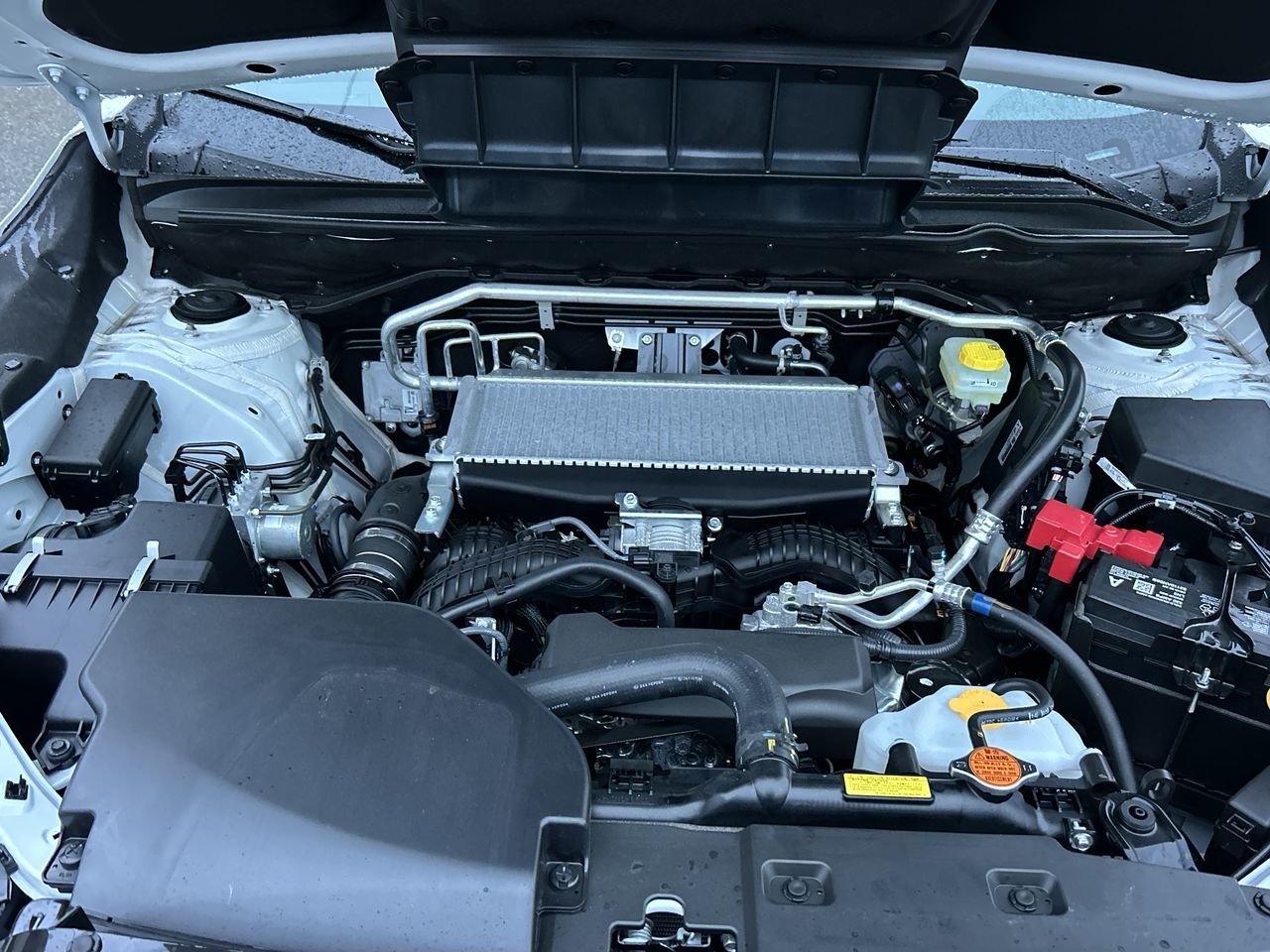 2025 Subaru ASCENT in Vancouver, British Columbia