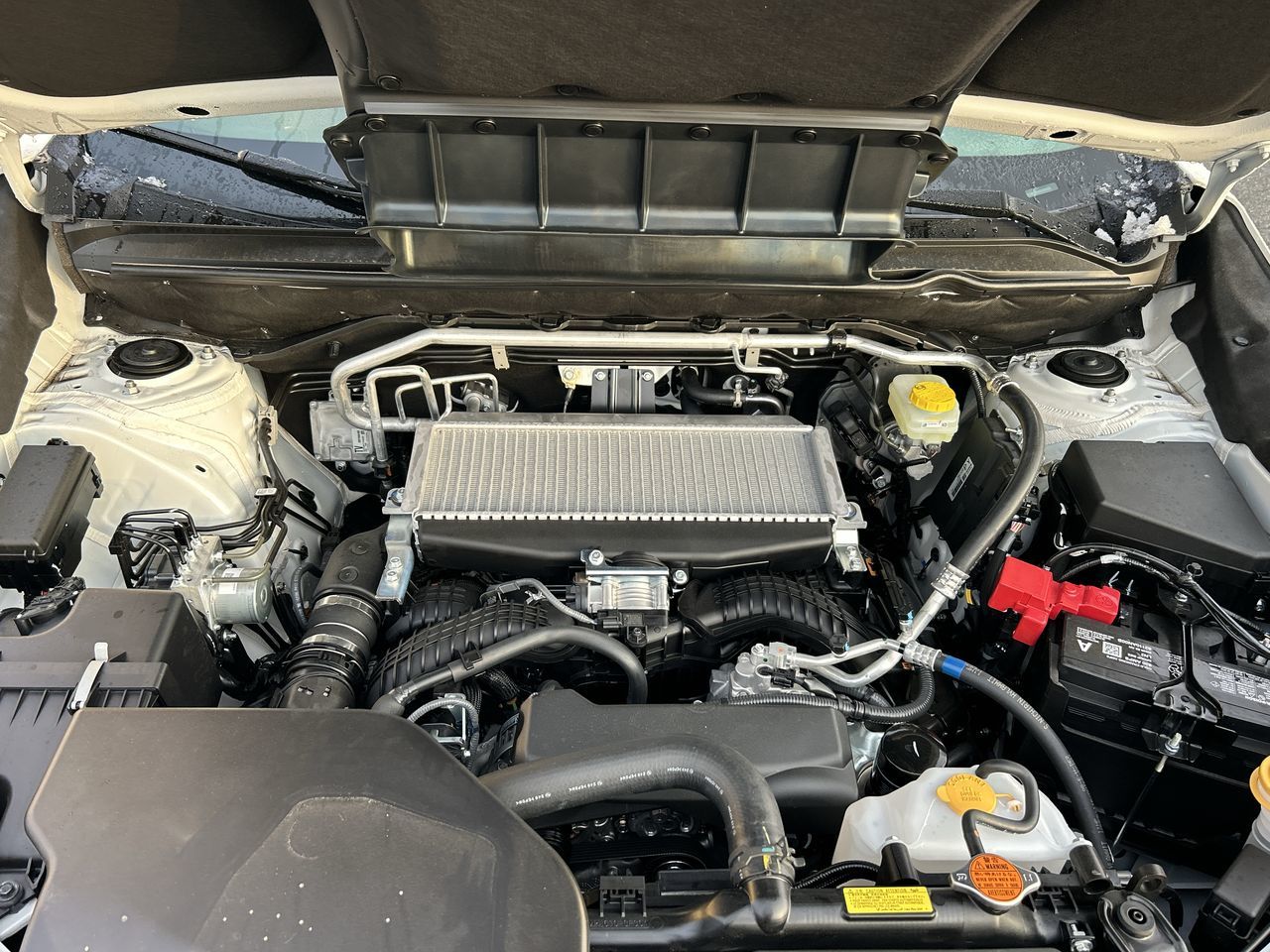 2025 Subaru ASCENT in Vancouver, British Columbia