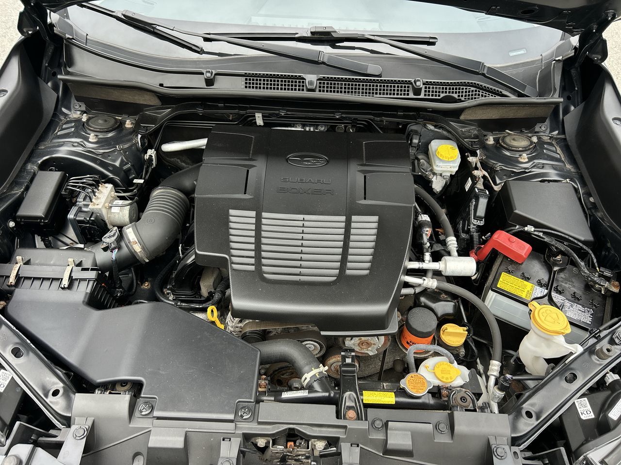 2023 Subaru Forester