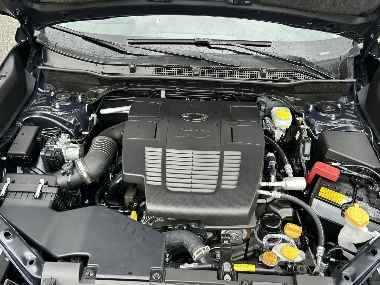 2024 Subaru Forester in Vancouver, British Columbia
