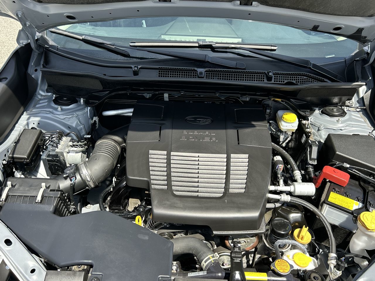 2024 Subaru Forester in Vancouver, British Columbia