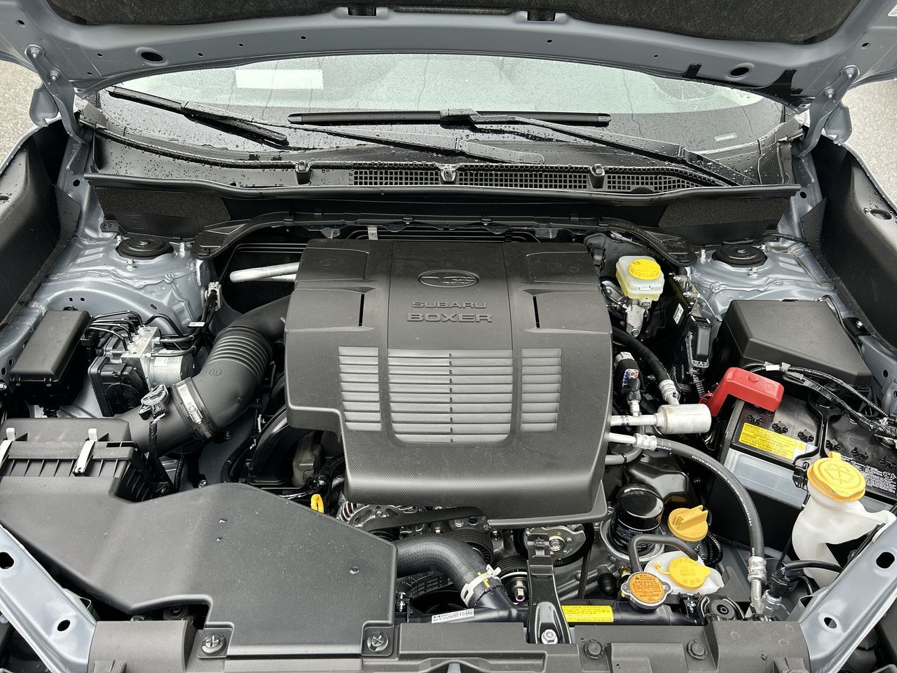 Subaru Forester  2024 à Vancouver, Colombie-Britannique