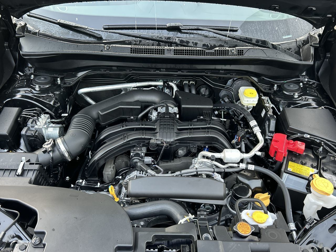 2025 Subaru Forester in Vancouver, British Columbia