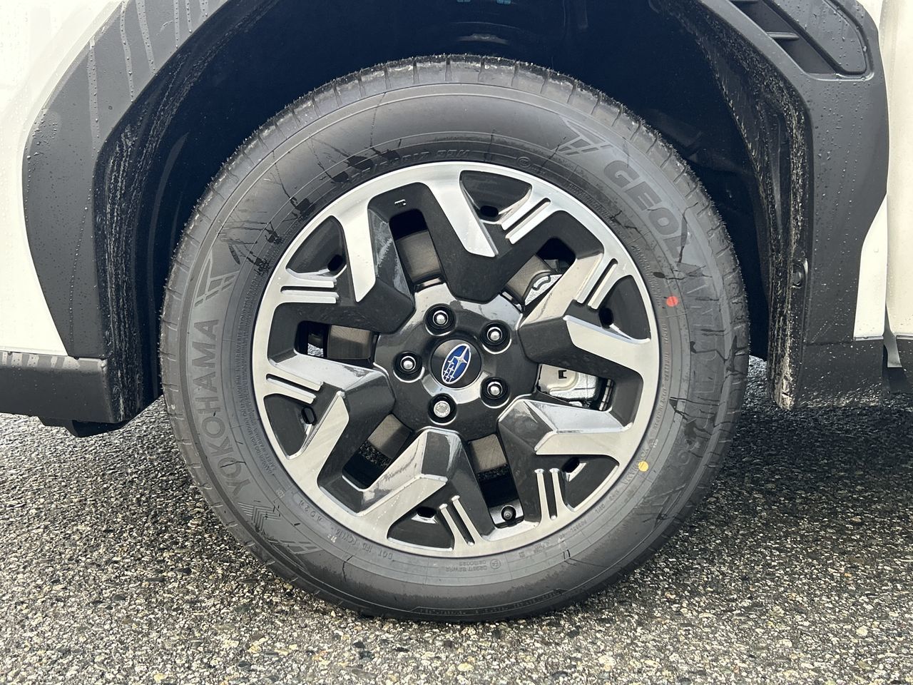 2025 Subaru Forester in Vancouver, British Columbia