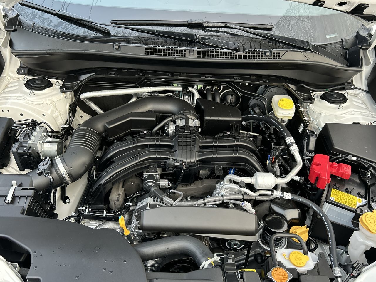 2025 Subaru Forester in Vancouver, British Columbia