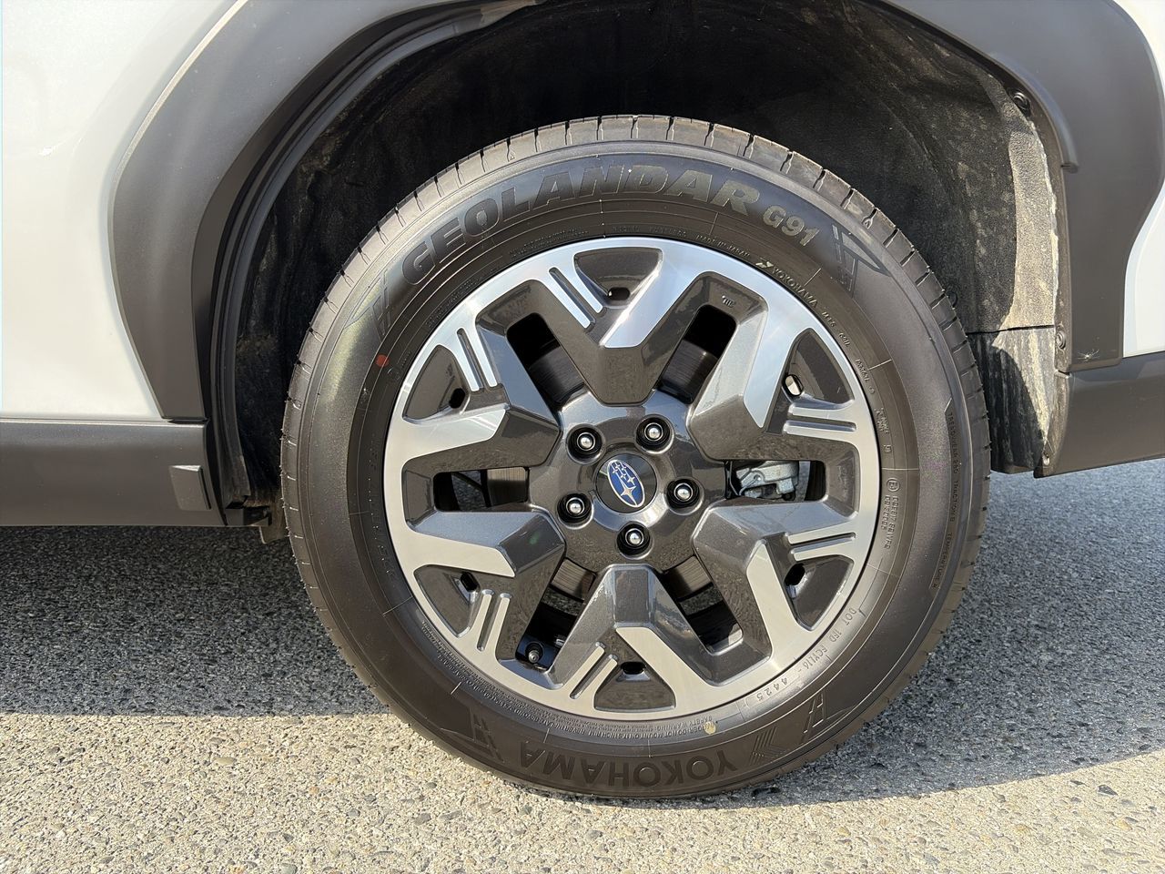 2026  Forester