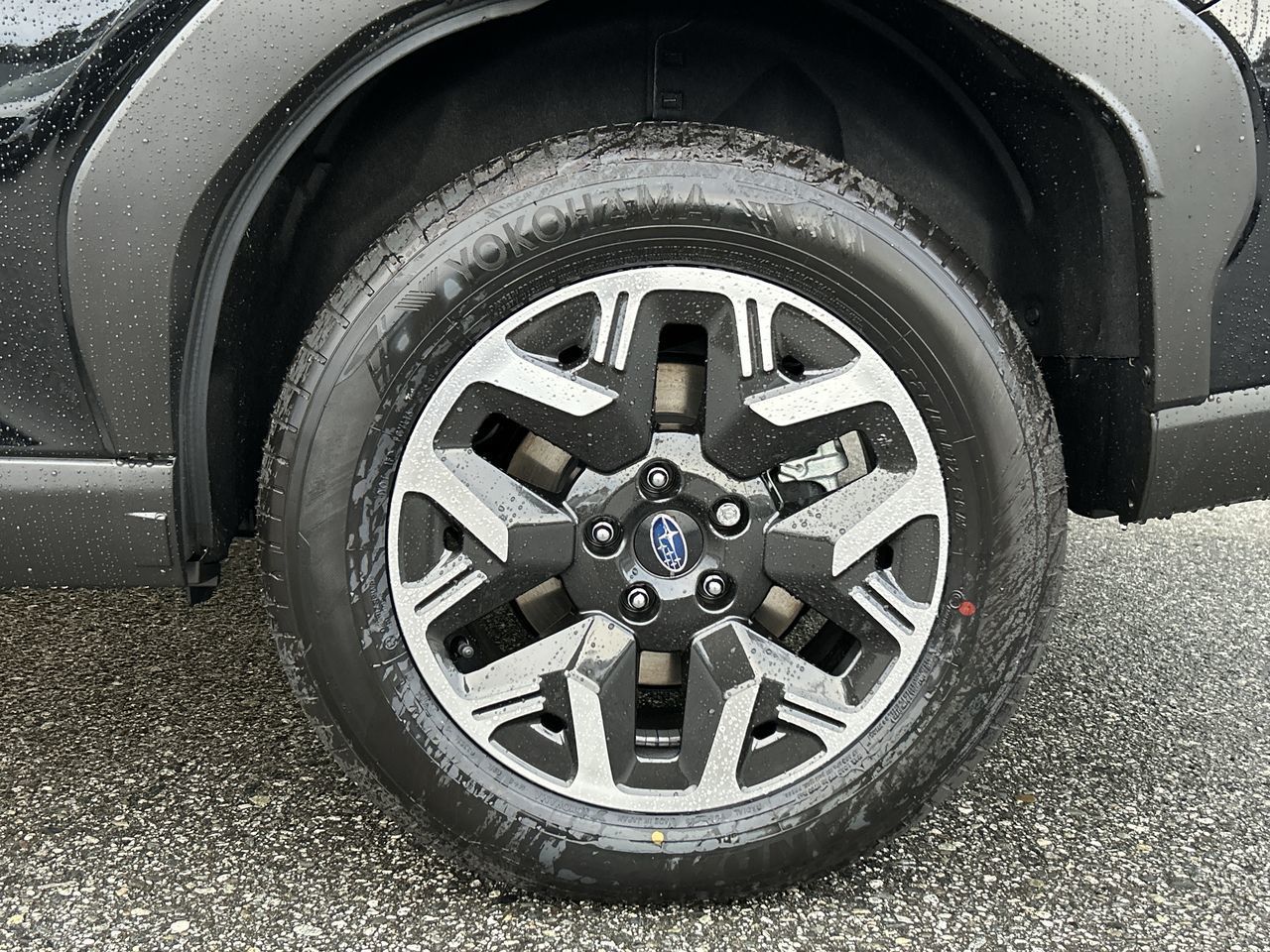 2026  Forester
