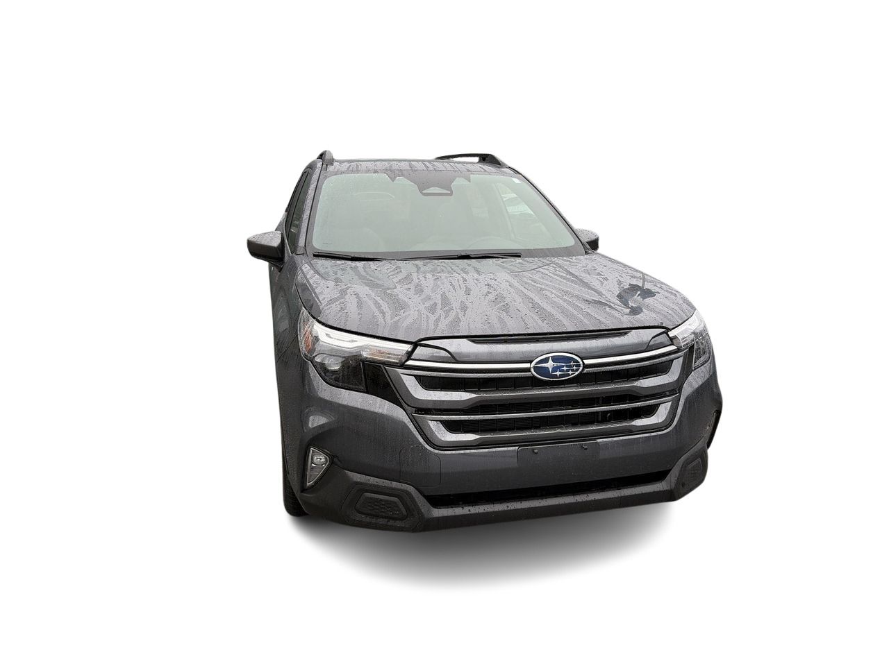2026  Forester