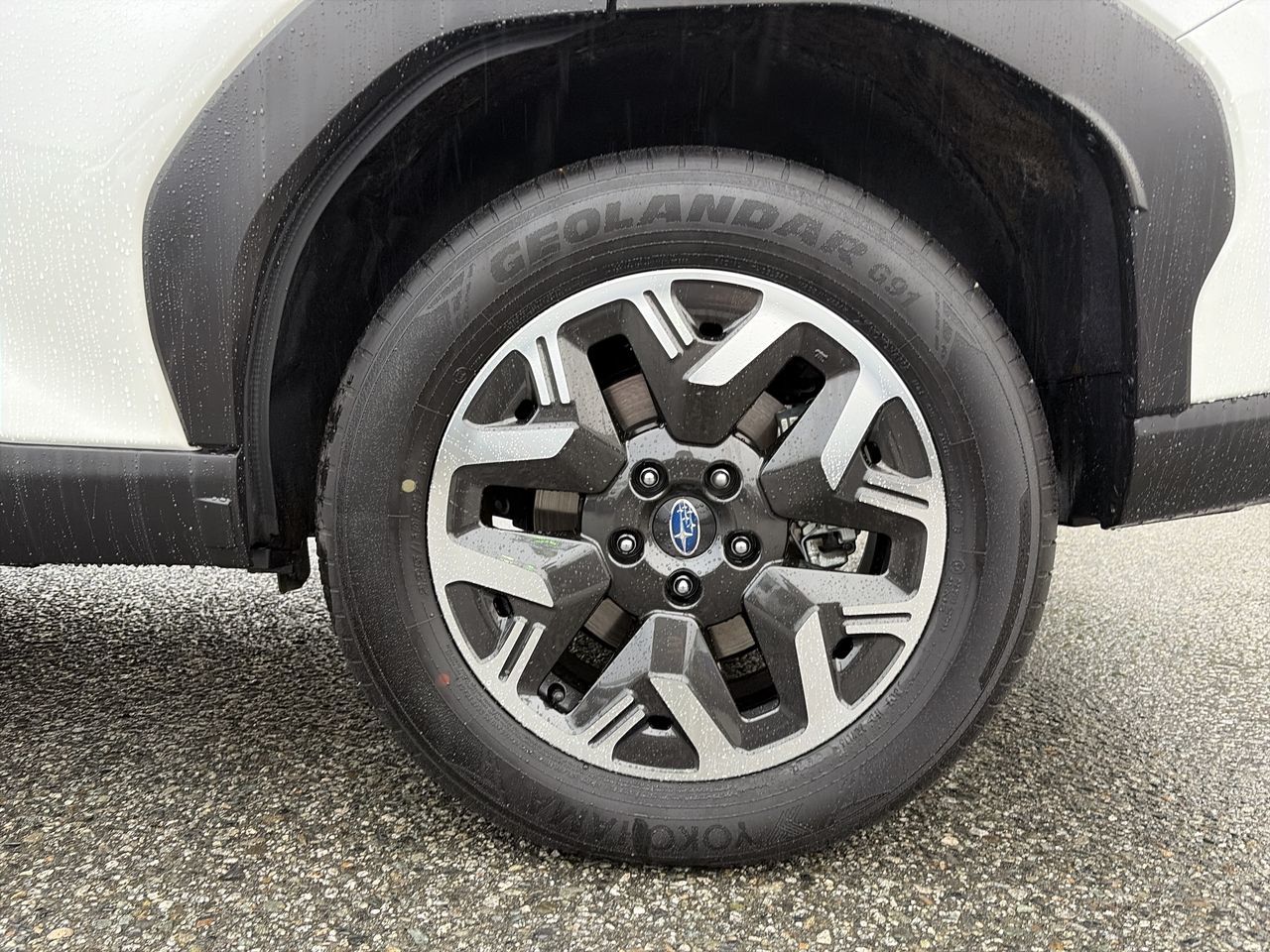 2026  Forester