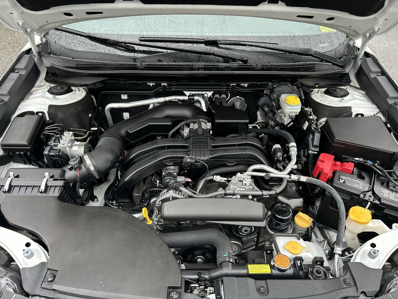 2024 Subaru Outback in Vancouver, British Columbia
