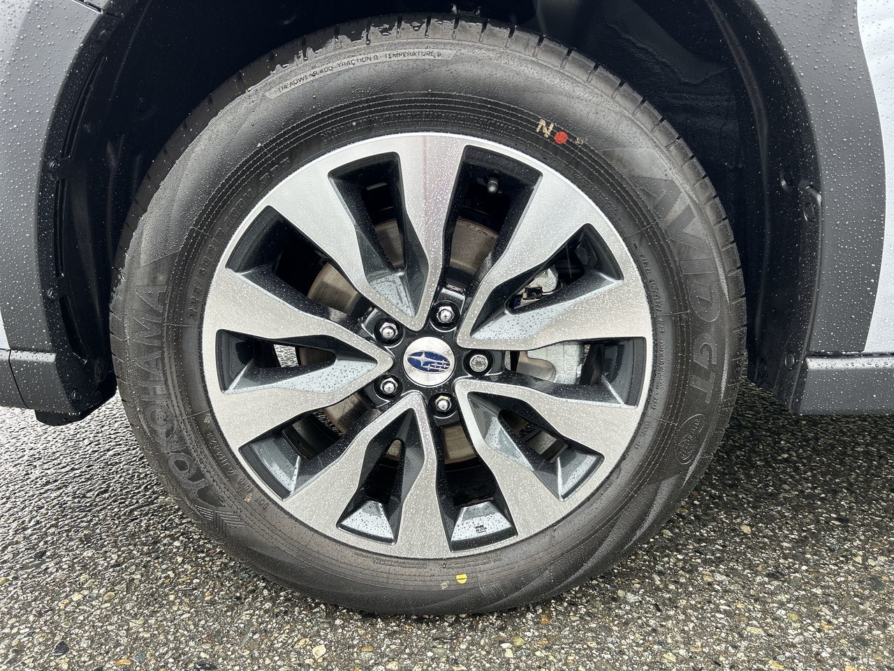 2024  Outback
