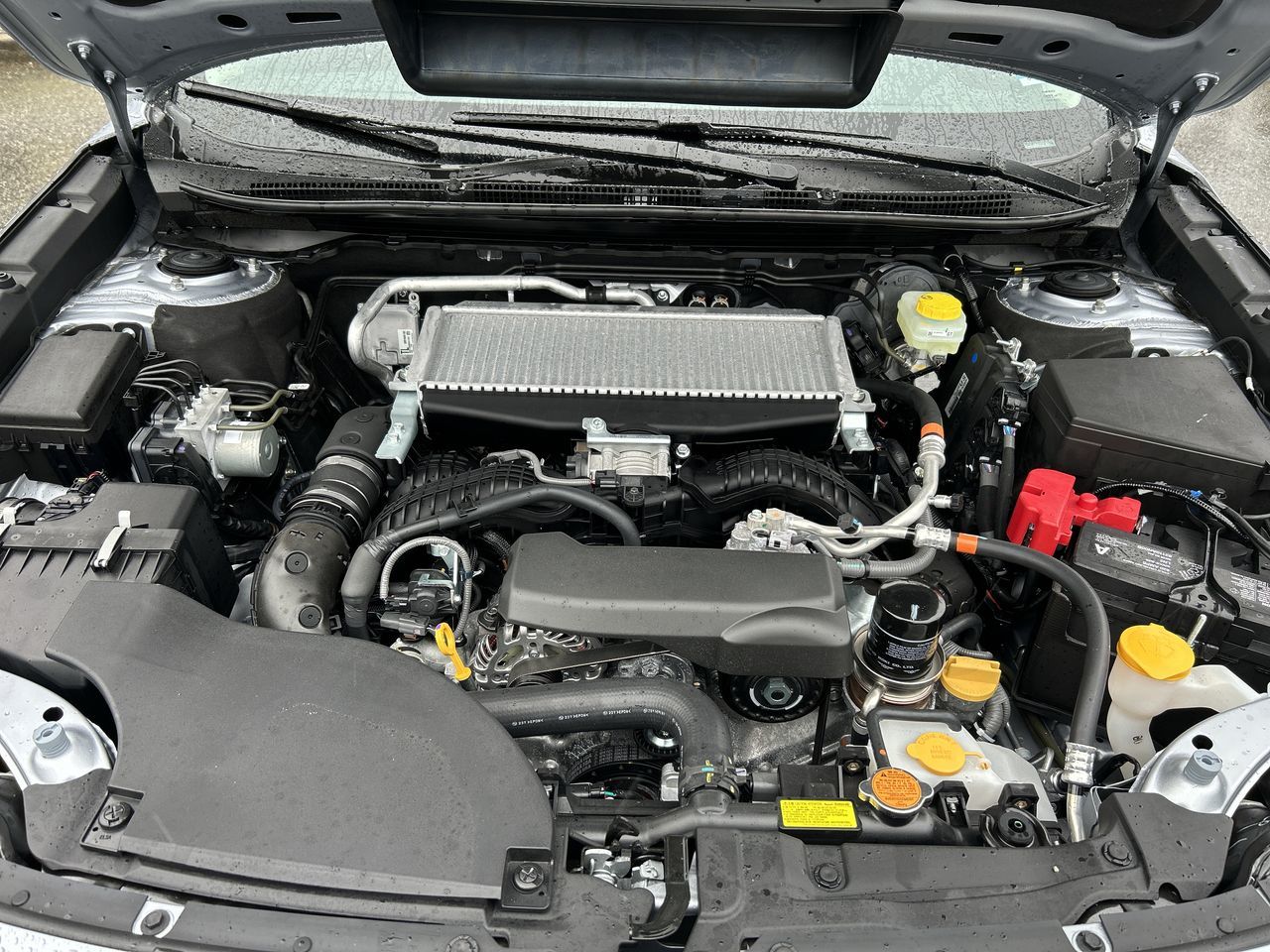 2024  Outback