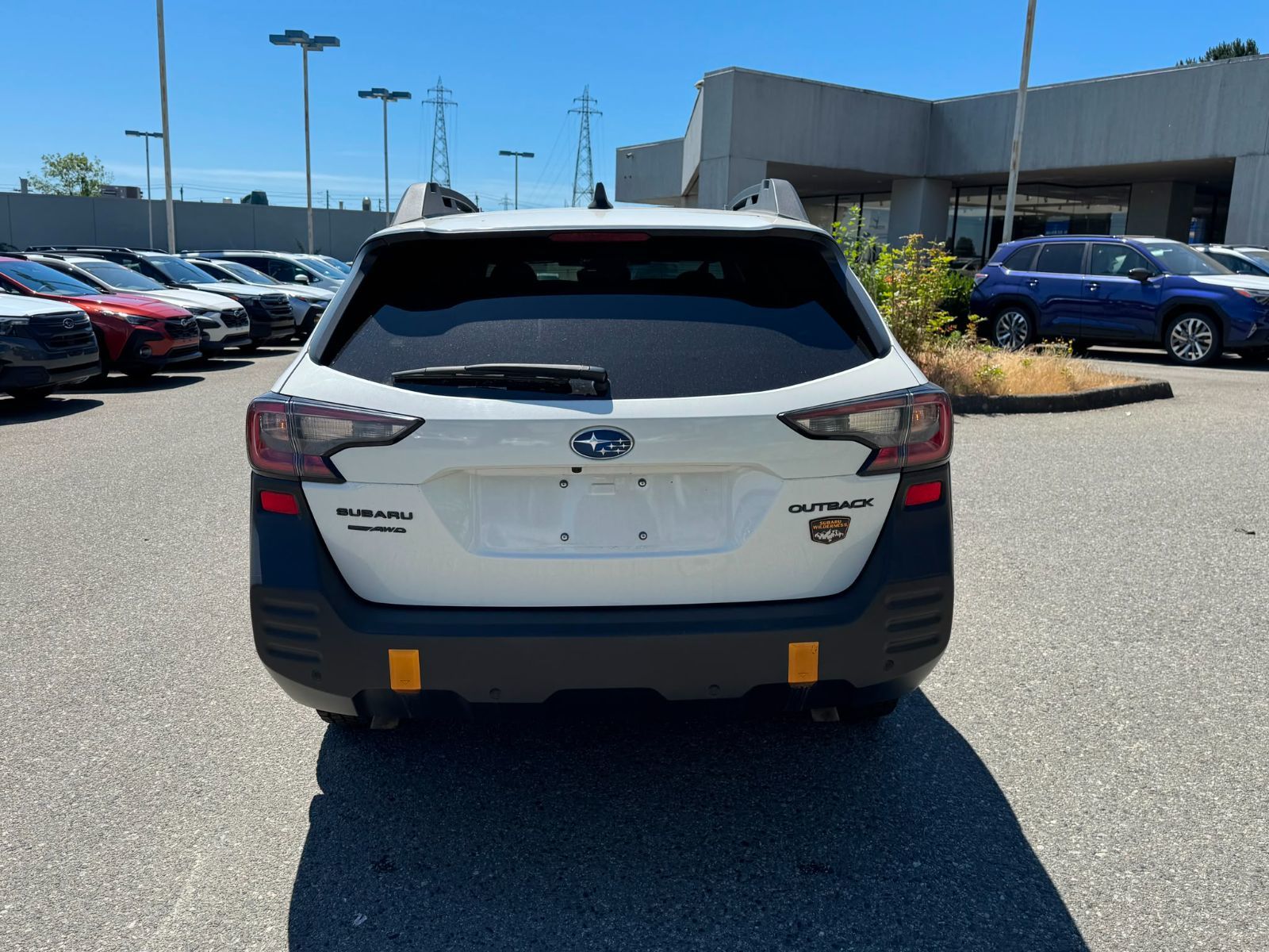 2024  Outback