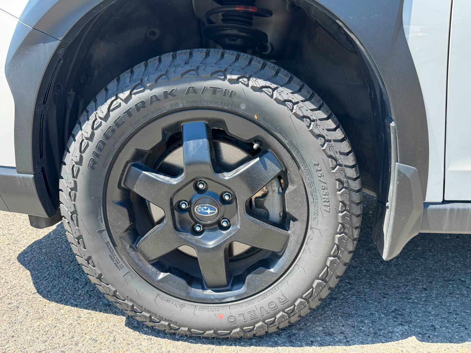 2024  Outback