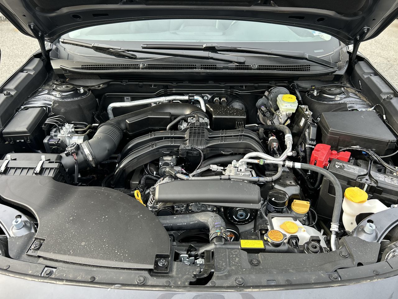 2024  Outback