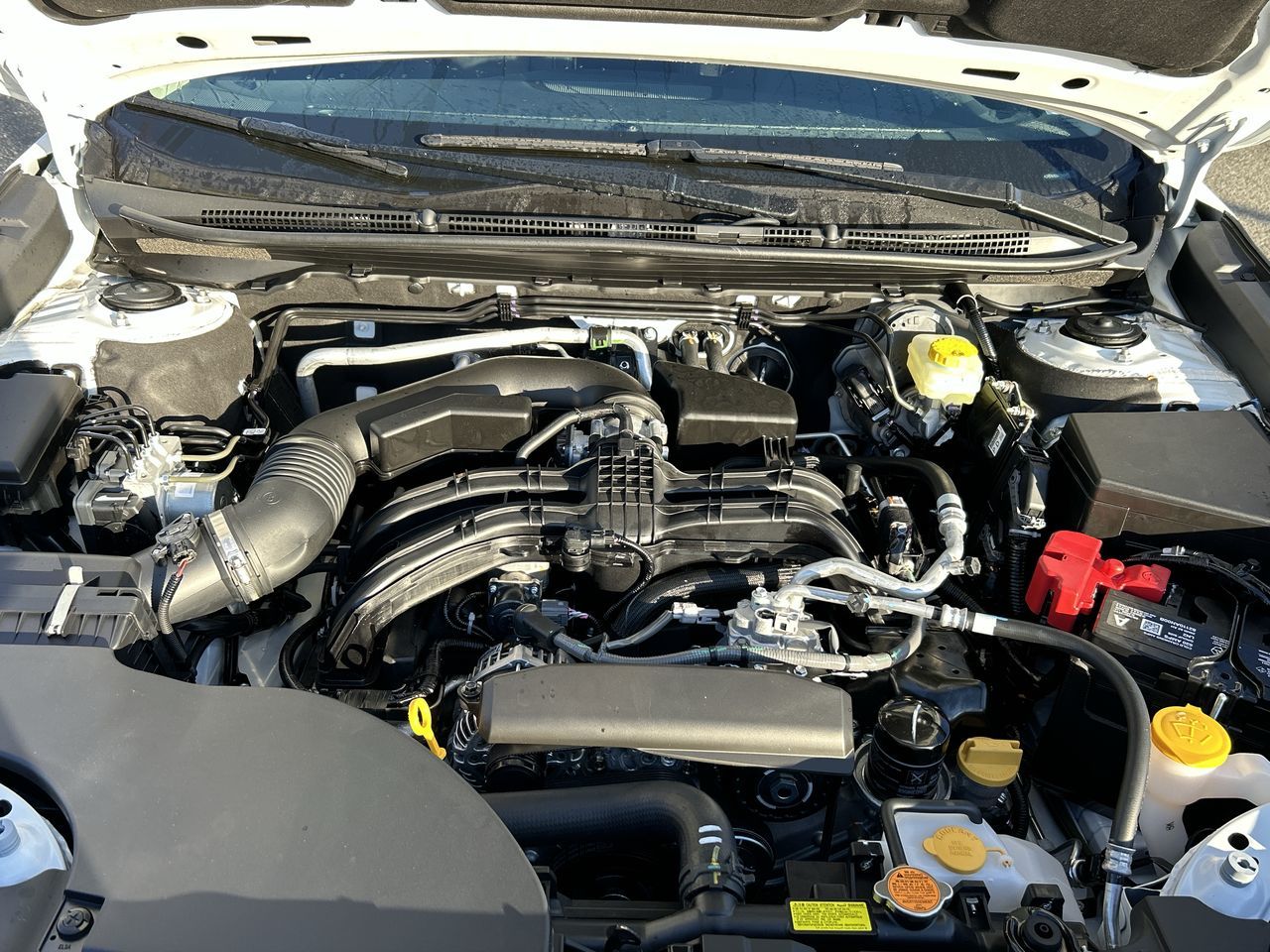 2025 Subaru Outback in Vancouver, British Columbia