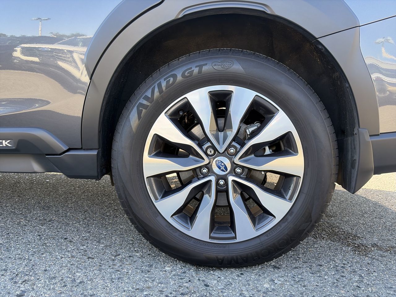 2025  Outback