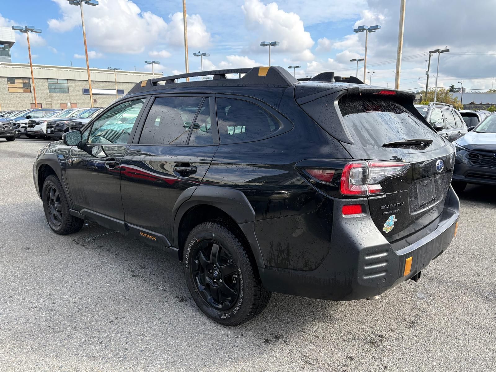 2025  Outback